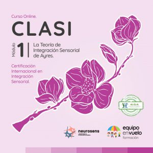 CLASI - Modulo 1 - La teoría de Integración Sensorial de Ayres