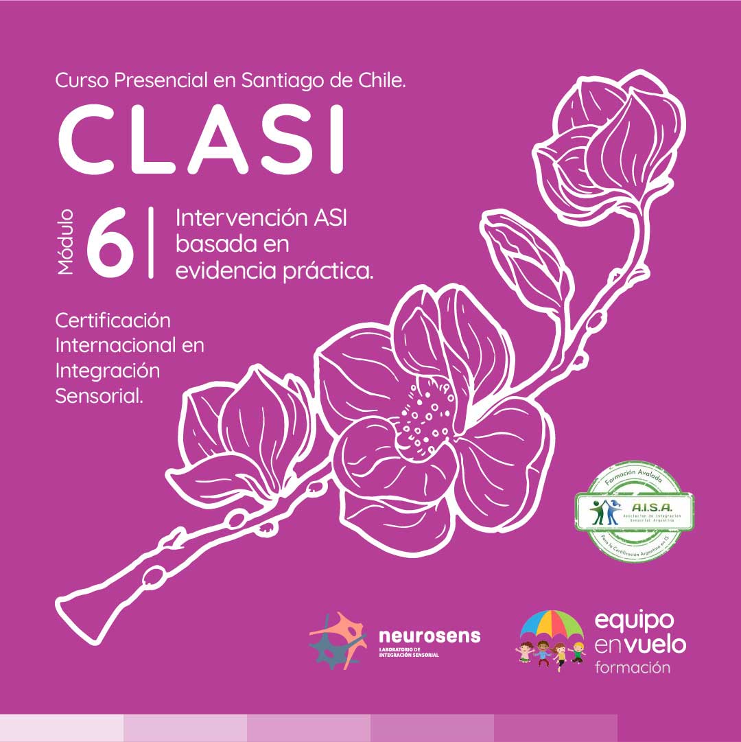 CLASI Modulo 6 Chile